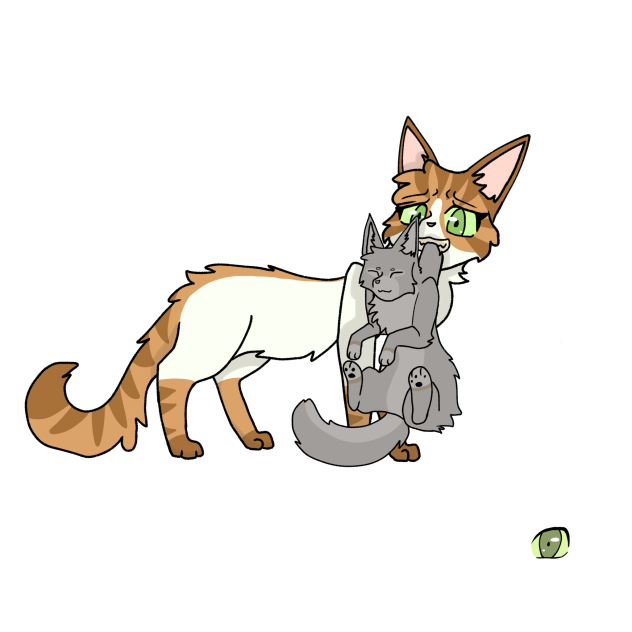 Briartail and orangepaw(stripe)
