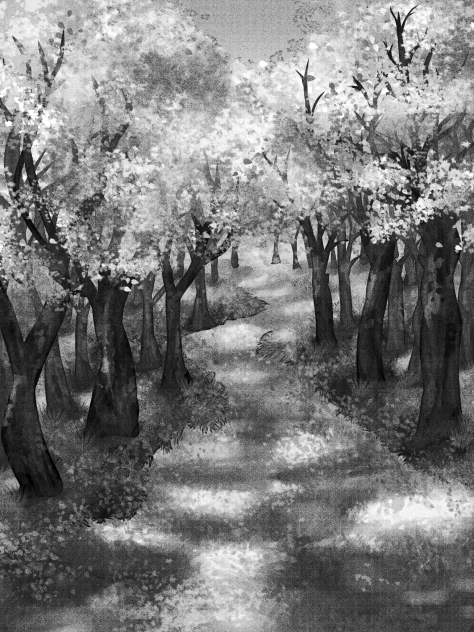 Cherry blossom trees