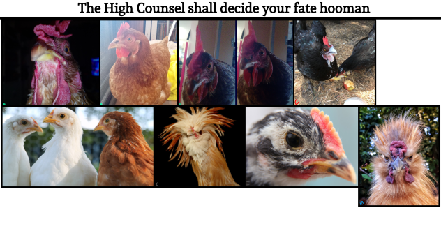 The high counsel will decide your fate2