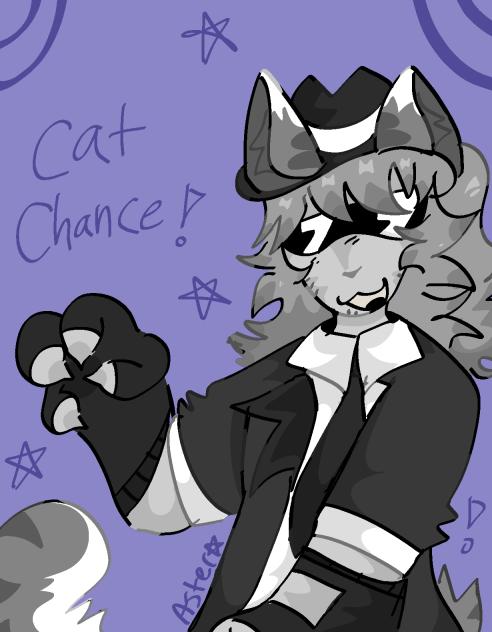 stupid cat chance 🙄