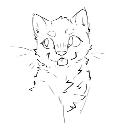 Silly kitty