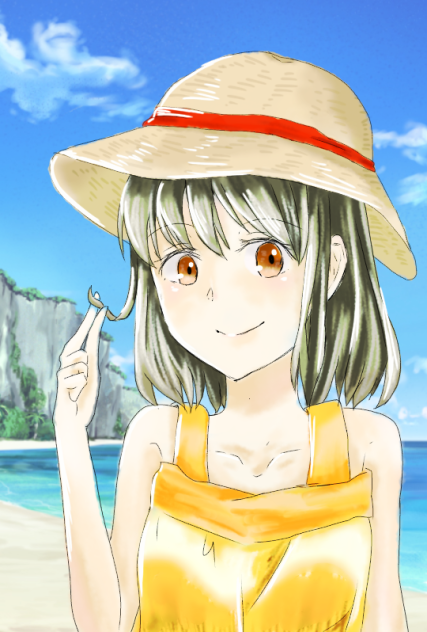 海