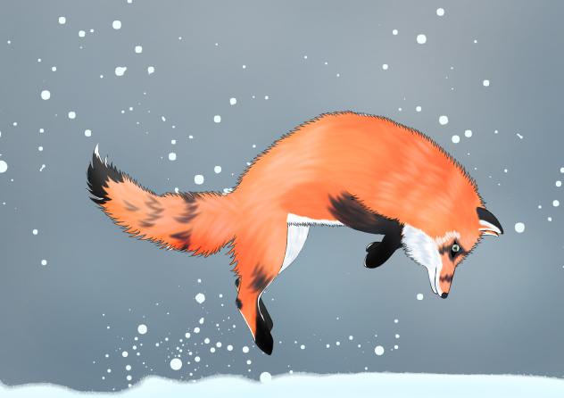 Jumping Fox - ibisPaint