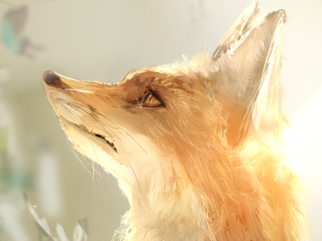 🦊