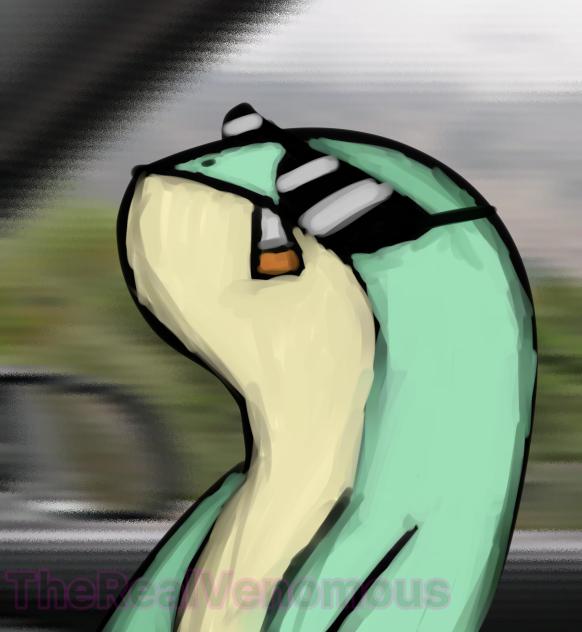 Thug life 🐸🕶️