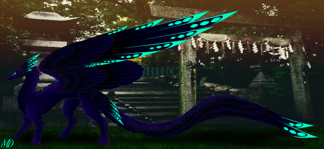 Black feather dragon
