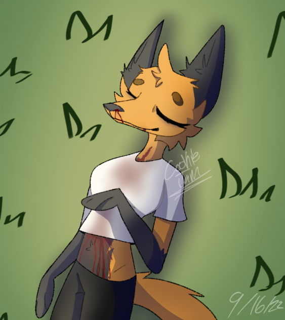 Where did the good days go