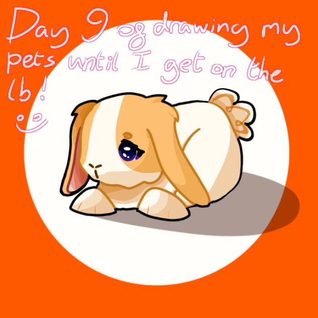 Day 9 of drawing my pets! - ibisPaint