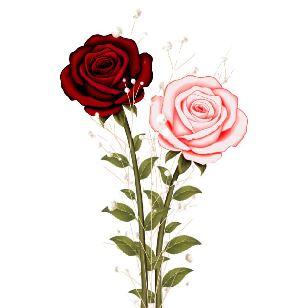 Two flowers with gypsophila1