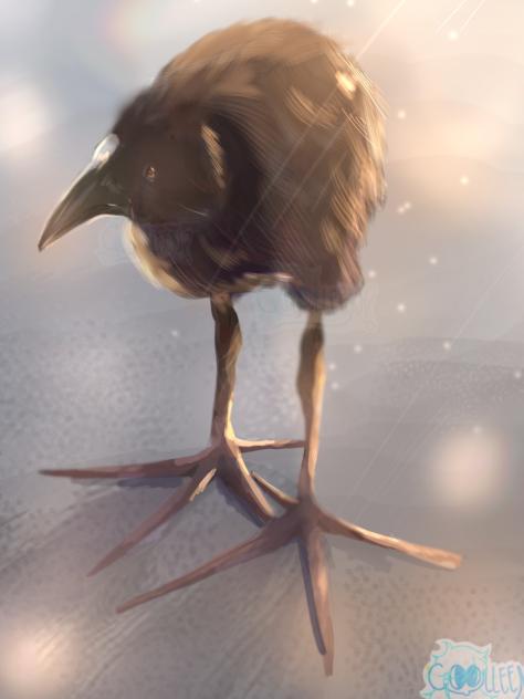 Lingan guli guli guli 😱🤑🤑🤑