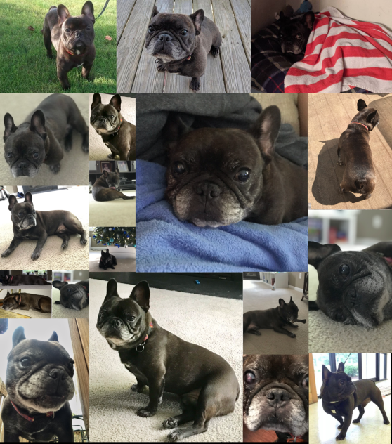 Bettis❤️💔❤️