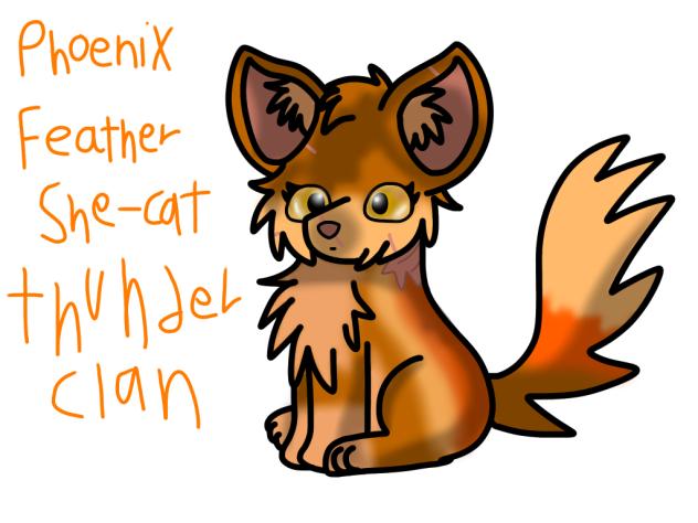 Warrior Cats. PhoenixFeather.