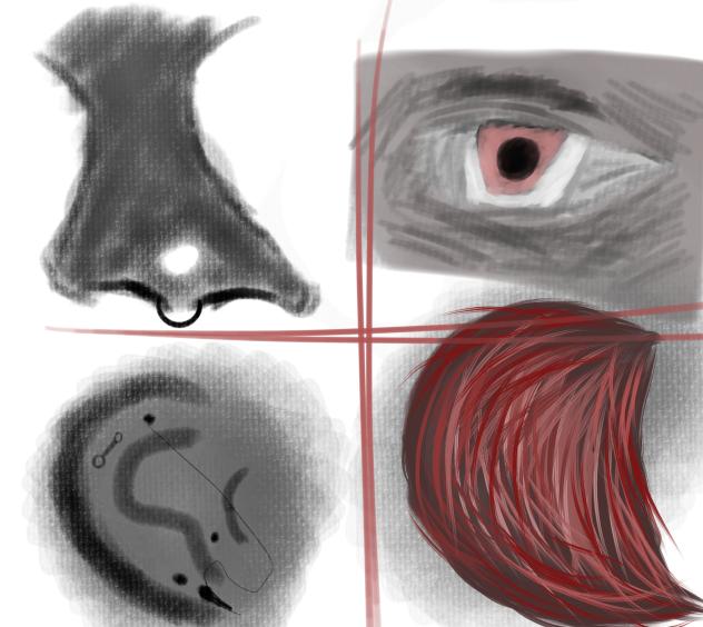 facial features - ibisPaint