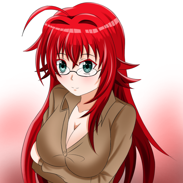 Rias gremory High School DxD cor