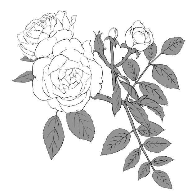 薔薇の背景