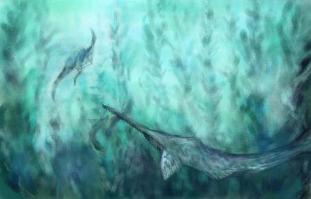 Swimming onhopristis