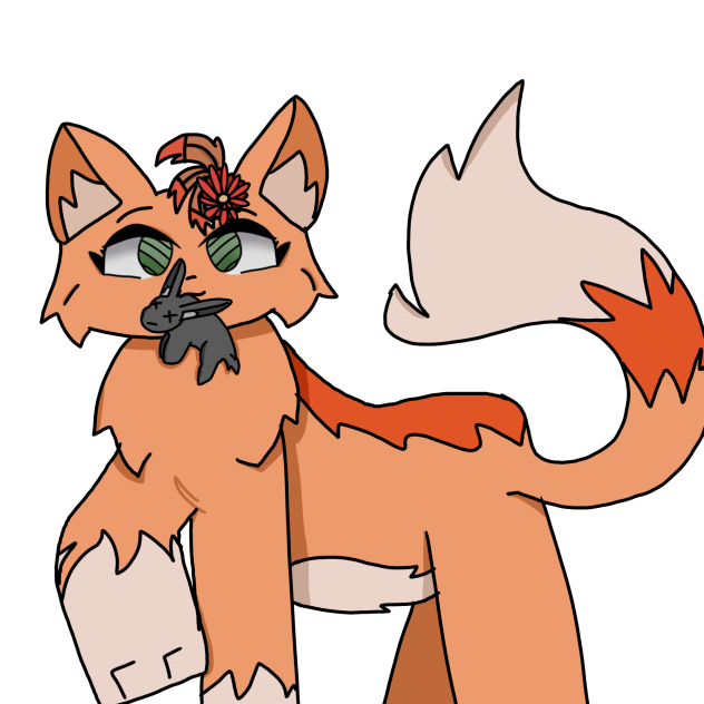 Random cat.