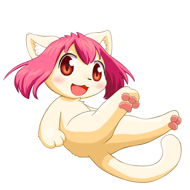 にゃんぜよ！