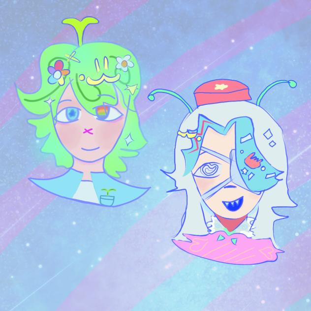 More dtiys