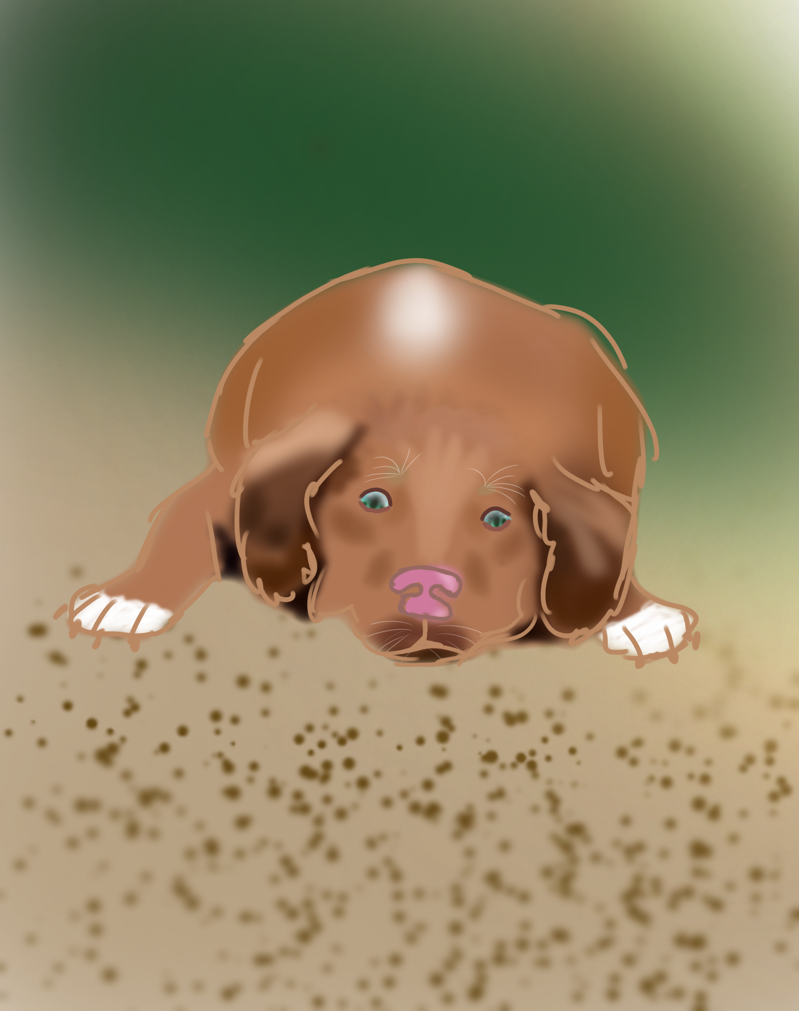 Dog laying at beach - ibisPaint
