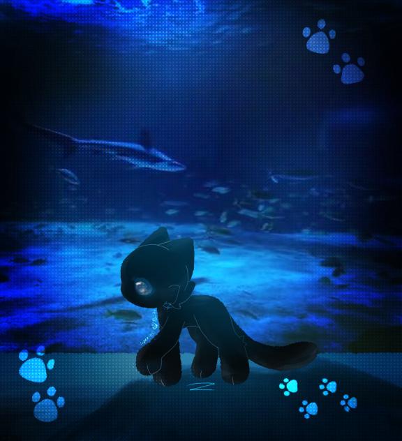 ''you have a whole ocean behind you,