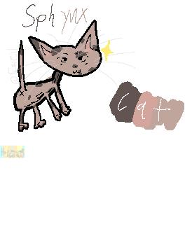 Cat #2