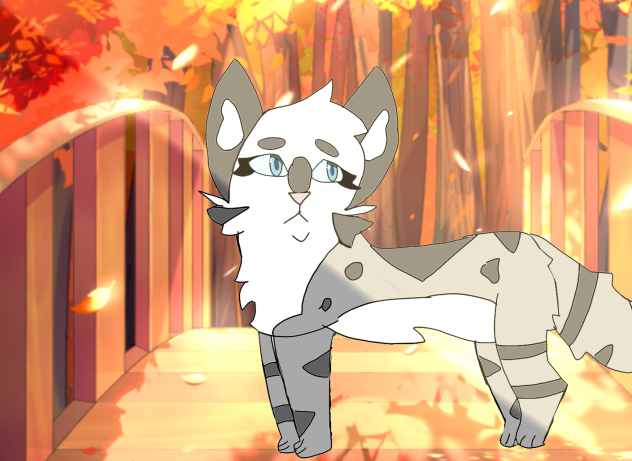 A warrior cat ♥️