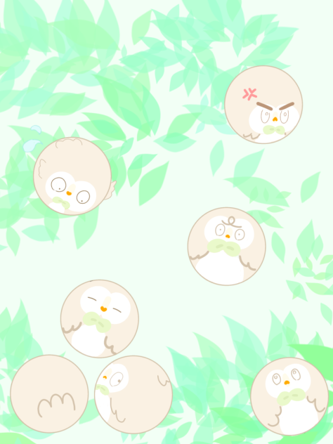 モクロー(いっぱい)