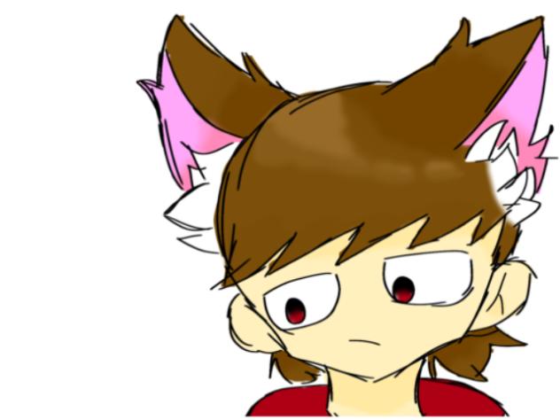 (ᐢ ˙꒳​˙ᐢ )