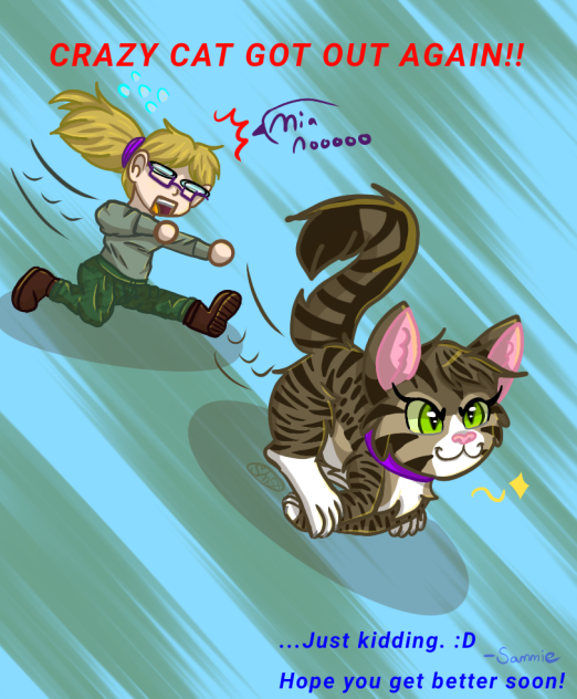 Crazy Cat Card