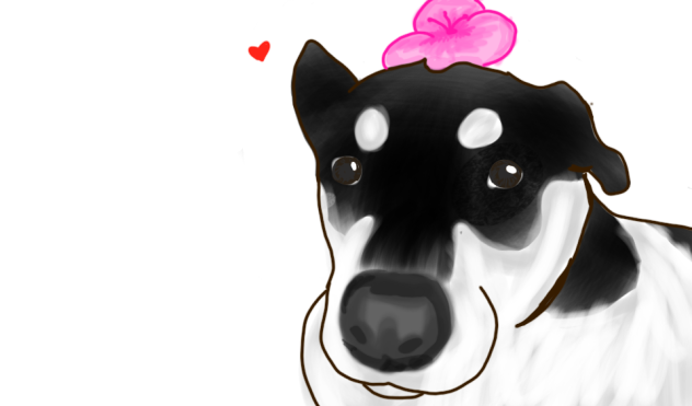 I DREW MY DOGGOO