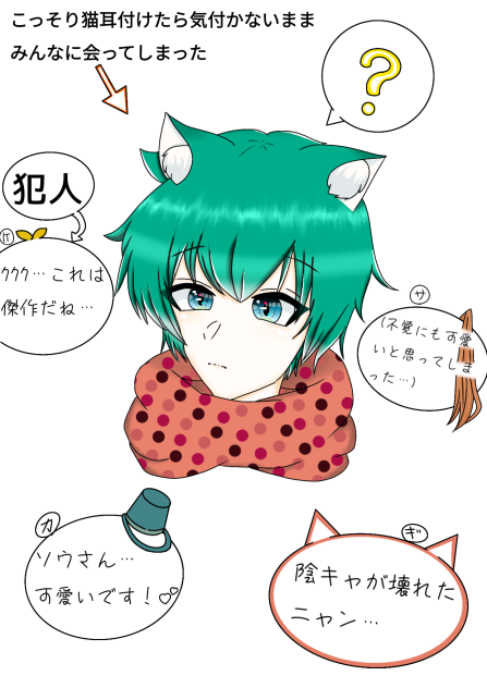 猫耳(この後気付いたソウは３日間部屋から出なくなった)