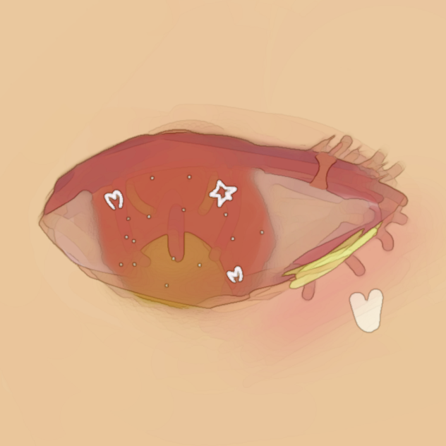 Brown eye (day filter)