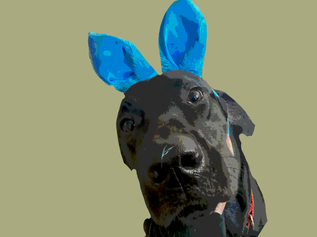 My dog painted - ibisPaint