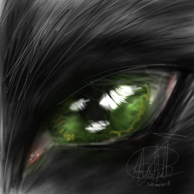 yet another cat eye