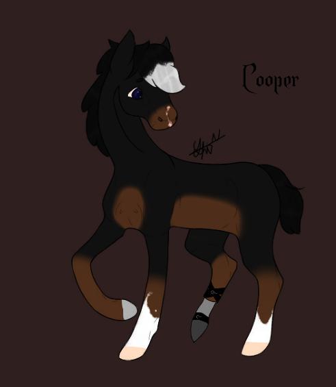 ~ Cooper Westfield ~