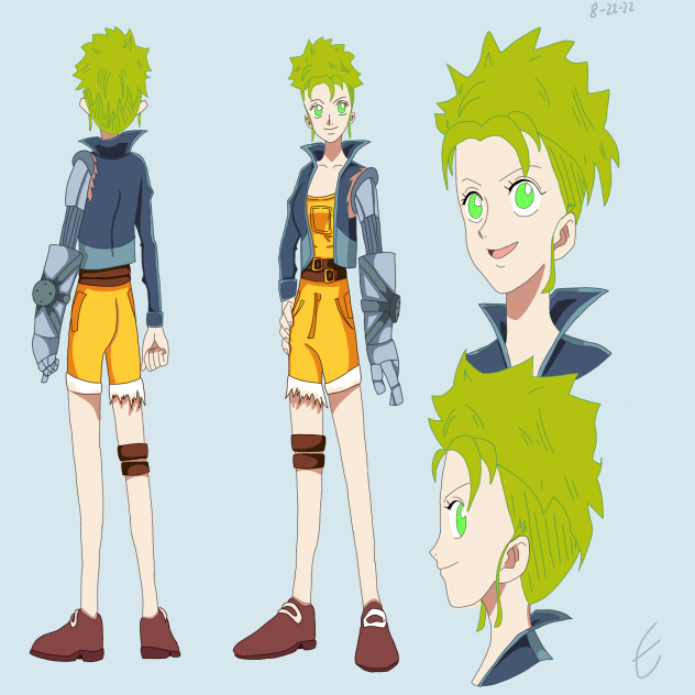 If I was A One Piece Character