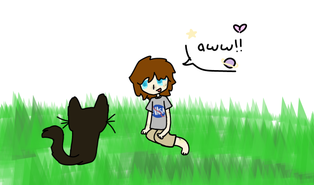 a cat !