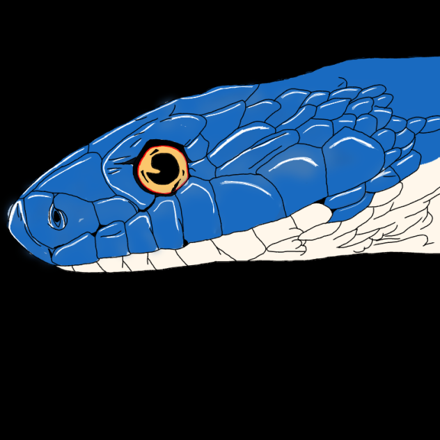 Blue Snake - ibisPaint