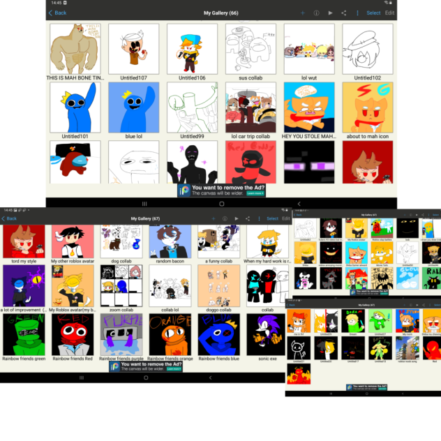 my gallery