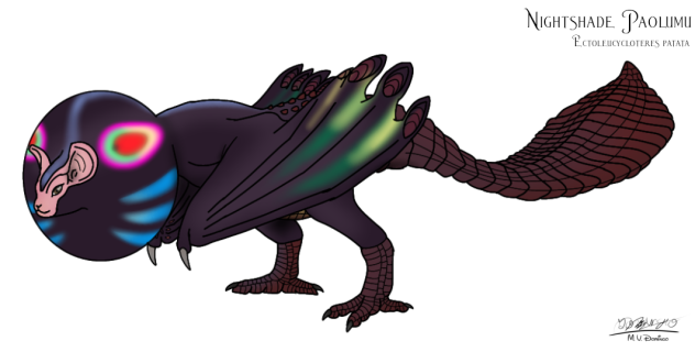 Nightshade Paolumu inflated