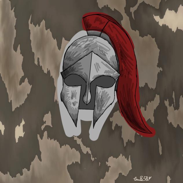 Horse hair helmet