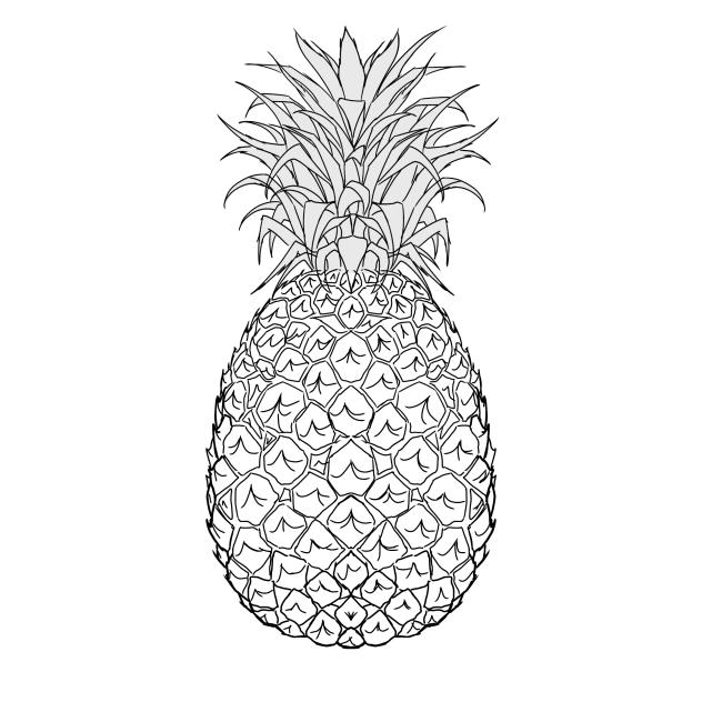 pineapple 🍍