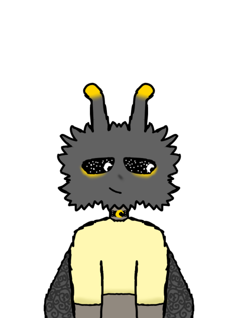 Moth