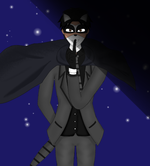 Mesiour Raccoon