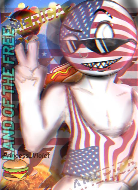 🇺🇸 アメリカ