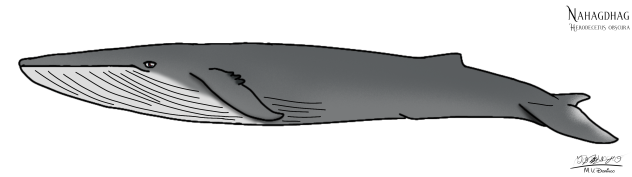 Nahagdhag no bar ren