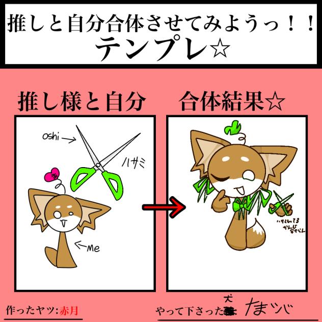 ☆合体☆