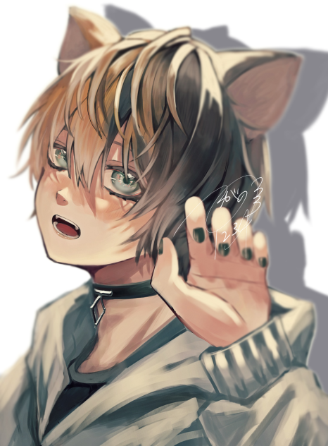 三毛猫さん