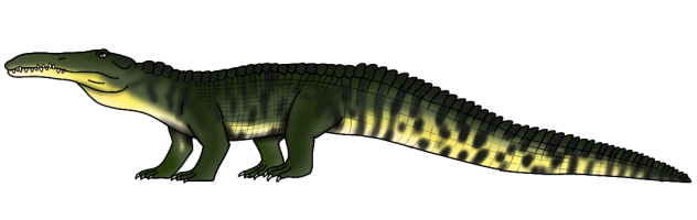 Smilosuchus gregorii2